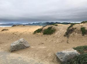 Grover Beach Dunes