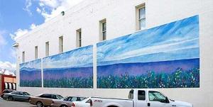 Hayden Atrium Bldg Bakersfield Mural