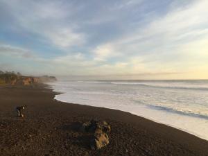 San Simeon Beach