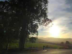 Templeton Sunrise