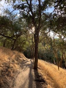 Stadium Park Trail