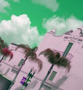 FoxPalms