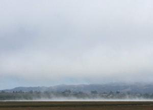 Los-Osos-Estuary