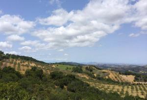 Paso-Robles-Vista
