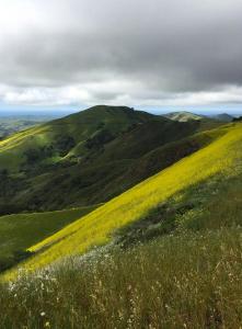 Vista-from-Hwy-46-to-Cambria
